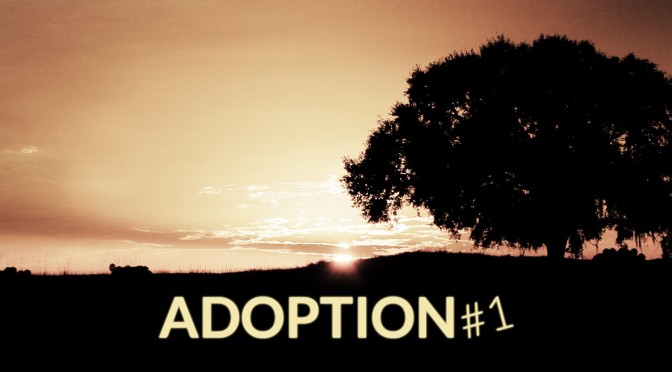 16-0221 Adoption #1