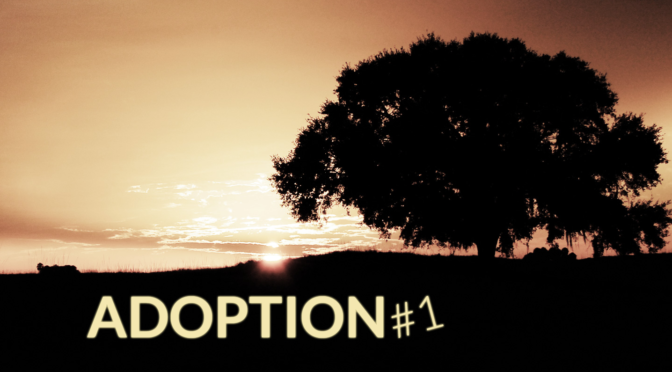 21-0620 Adopcja #1