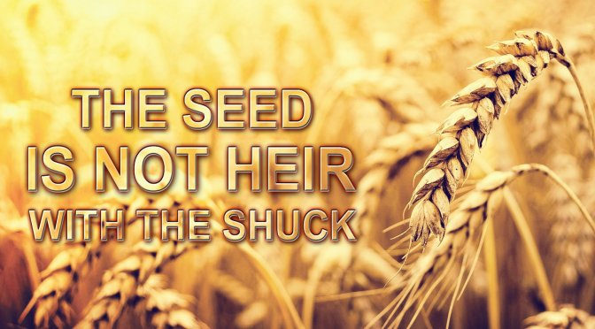 24-0602 The Seed Is Not Heir With The Shuck