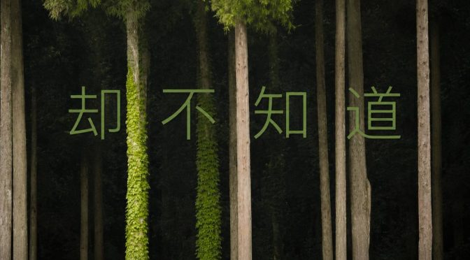 26-0614 却不知道